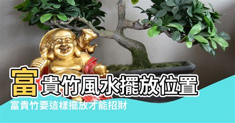 玫瑰水芙蓉風水|風水師揭秘：芙蓉擺放位置有講究